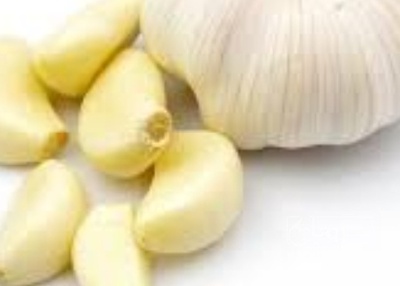 فروش سیر حبه