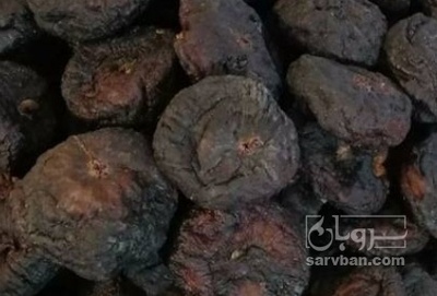فروش انجیر خشک