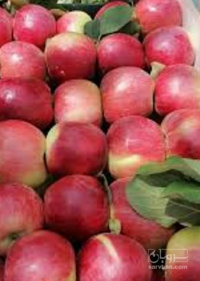 فروش سیب شکی