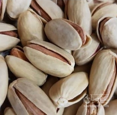 فروش پسته اکبری