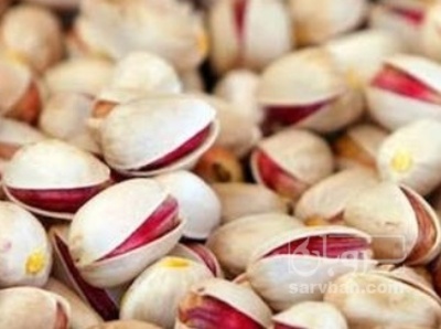 فروش پسته احمد اقایی