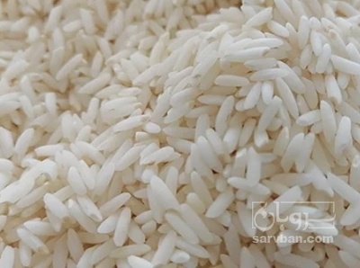فروش برنج
