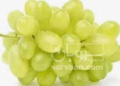 فروش انگور