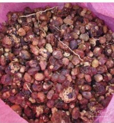 فروش خرماضایعاتی