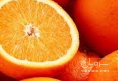 فروش پرتقال