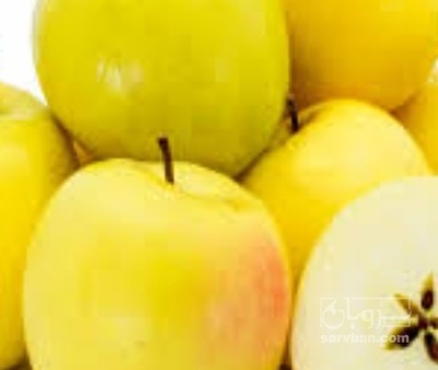 خرید سیب زرد