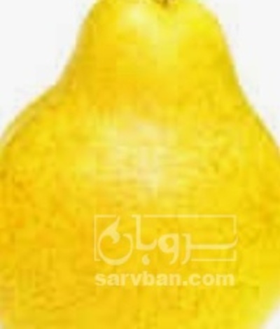 فروش گلابی