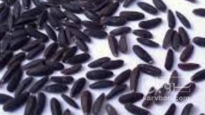 فروش بالنگو (گیاه‌ دارویی)