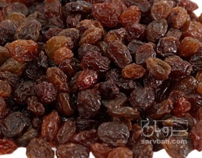 فروش کشمش