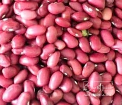 فروش لوبیا قرمز