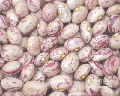 فروش لوبیا چیتی