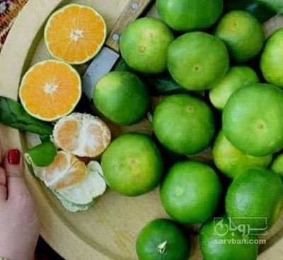 فروش نارنگی