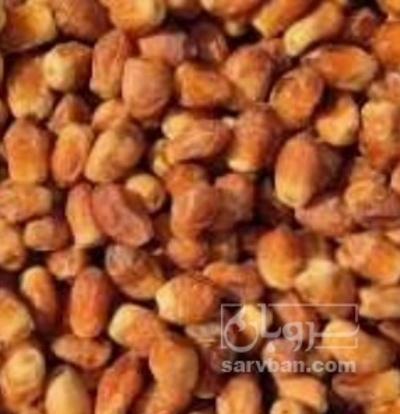 فروش خرما زاهدی