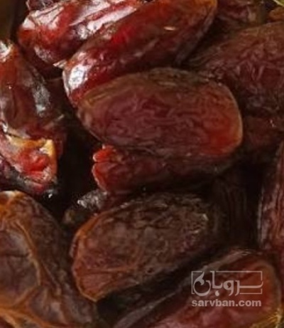 فروش خرما کبکاب