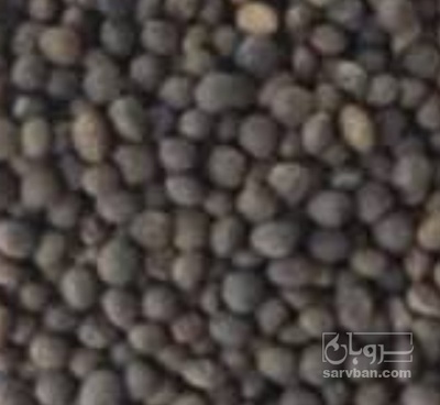 فروش قاردانه