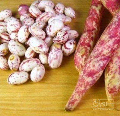 فروش لوبیا چیتی