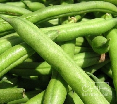 فروش لوبیا سبز