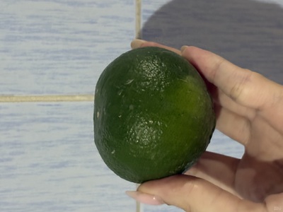 فروش نارنگی ژاپنی