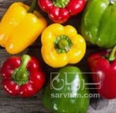 فروش فلفل دلمه ای