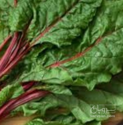 فروش برگ چغندر