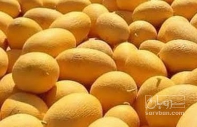 فروش راک