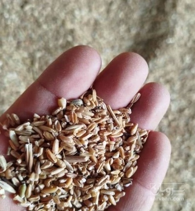 فروش ضایعات بوجاری گندم