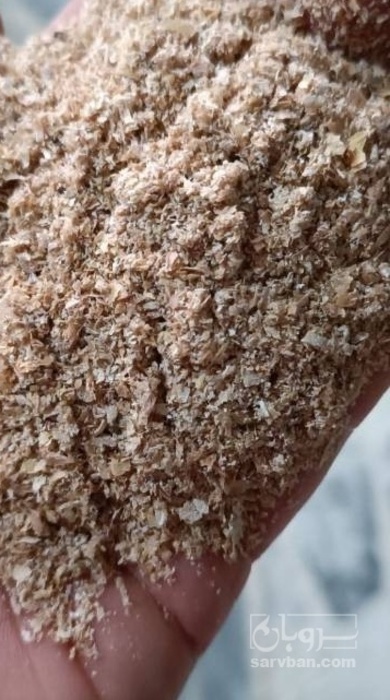 فروش سبوس گندم