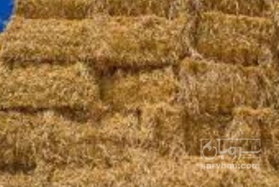 فروش کاه و کلش گندم