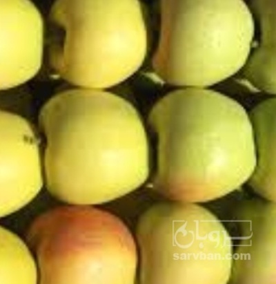 فروش سیب زرد