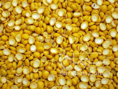 فروش نخود کفتری - لپه