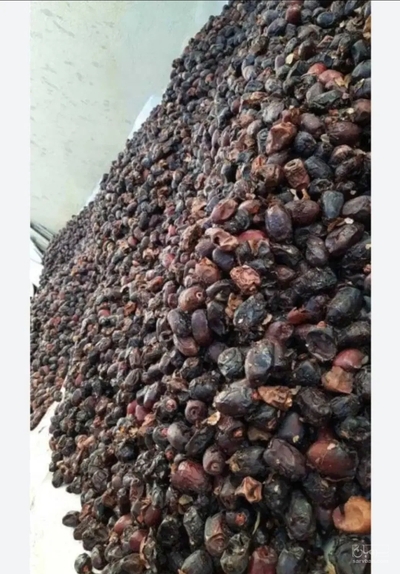 فروش ضایعات خرما