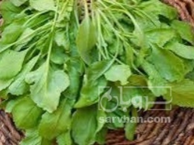 فروش شاهی (گیاه‌ دارویی)