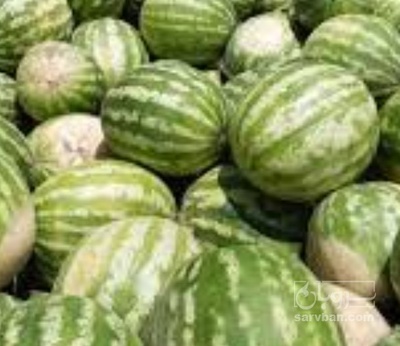 فروش هندوانه