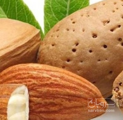 فروش بادام