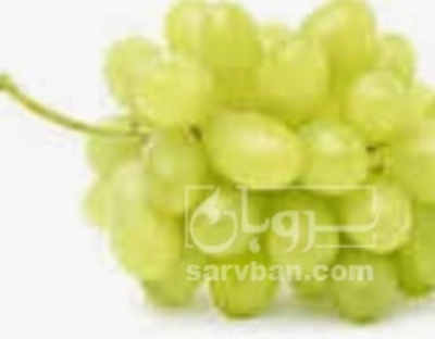 فروش انگور