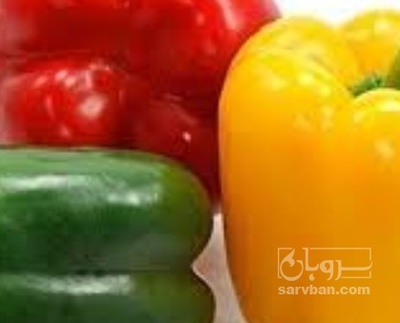 فروش فلفل دلمه ای