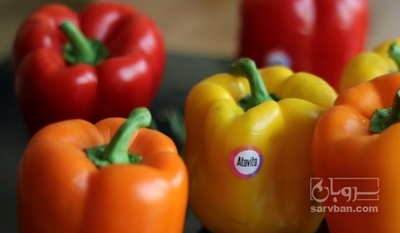 فروش فلفل دلمه ای