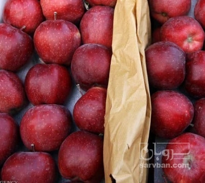 فروش سیب قرمز