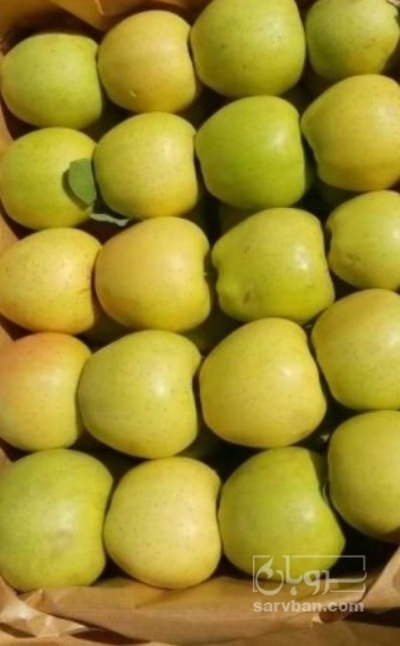 فروش سیب زرد