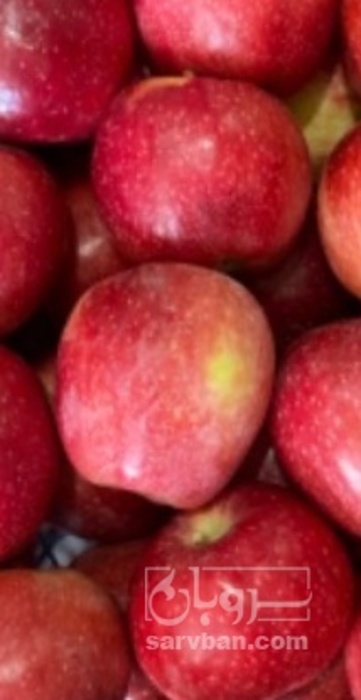 فروش سیب قرمز