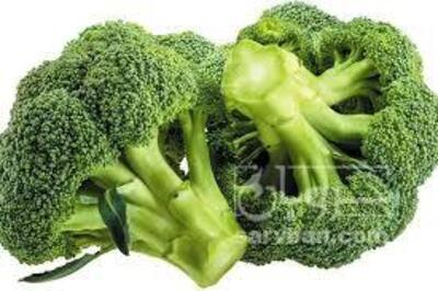 فروش کلم بروکلی