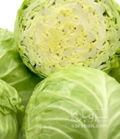 فروش کلم برگی سفید سبدی