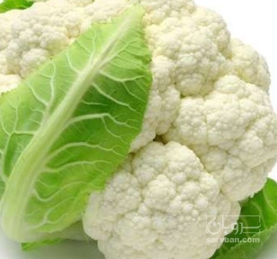 فروش گل کلم