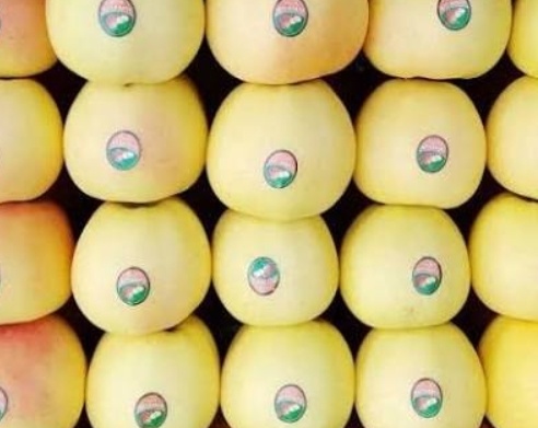 فروش سیب زرد