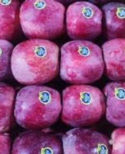 فروش سیب قرمز