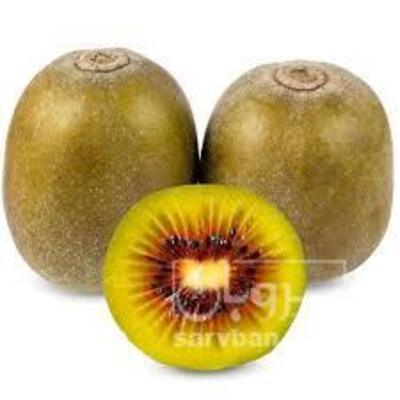 فروش کیوی تو سرخ