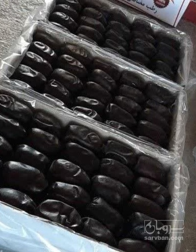 فروش خرما مضافتی