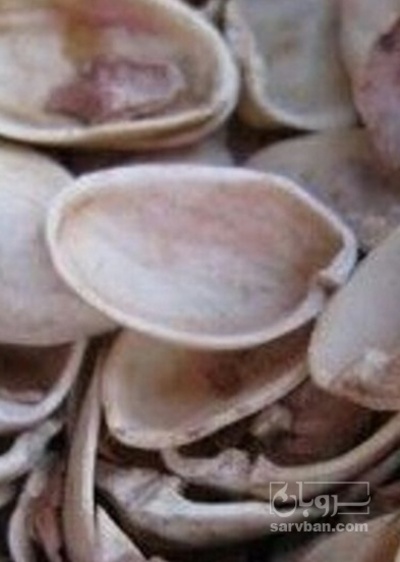 فروش پوست پسته (گیاه‌ دارویی)