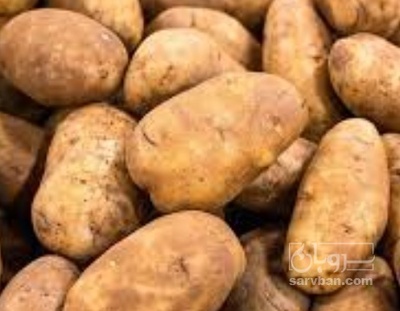 فروش سیب زمینی