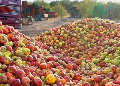 فروش سیب ضایعاتی